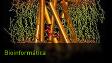 Bioinformática y ciencias de la vida