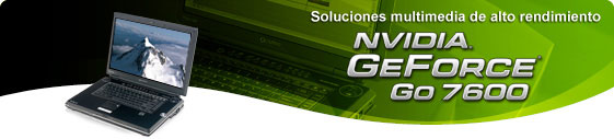 GeForce Go 7600