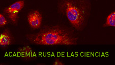 Academia Rusa de las Ciencias