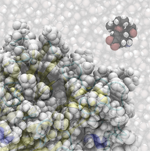El antigripal Tamiflu (esquina superior derecha) trata de combatir el sitio activo de la enzima neuraminidasa (esquina inferior izquierda). (Imagen por gentileza de: Universidad de Bristol) El antigripal Tamiflu (esquina superior derecha) trata de combatir el sitio activo de la enzima neuraminidasa (esquina inferior izquierda). (Imagen por gentileza de: Universidad de Bristol)