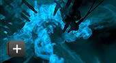 Lightdog Films Case Study Image