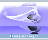 Side views, reflections, distortions from the splashing fluid—great attention to detail can be achieved using NVIDIA graphics and Frantic tools. 