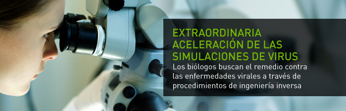 Extraordinaria aceleración de las simulaciones de virus
