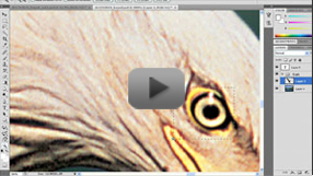 Photoshop