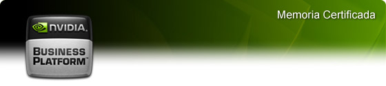 NVIDIA Business Platform - Memoria Certificada