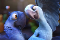 Blu and Jewel Closeup