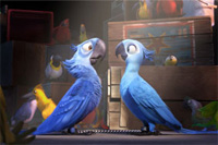 Blu and Jewel Love Connection
