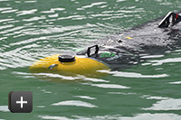 NATO SONAR NATO SONAR